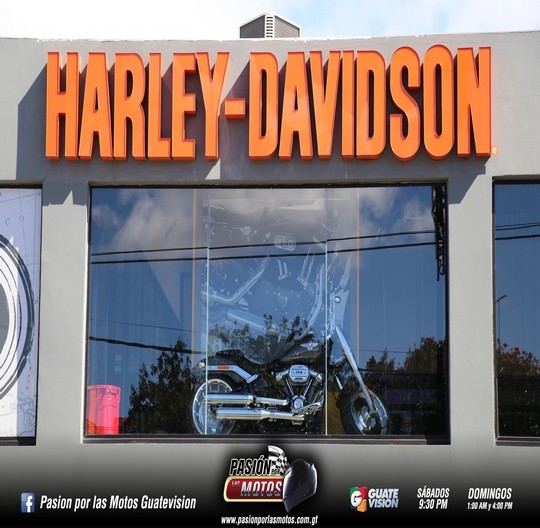 HARLEY DAVIDSON CELEBRA LA NAVIDAD